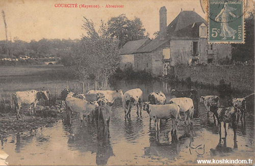 Filoche Eric- Courcité